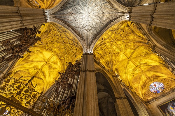 Ceiling in the interior of the Cathedral of Santa Maria de la Sede in Seville