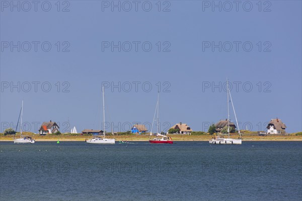 Sailing boats and beach houses along the Baltic Sea on the peninsula Graswarder