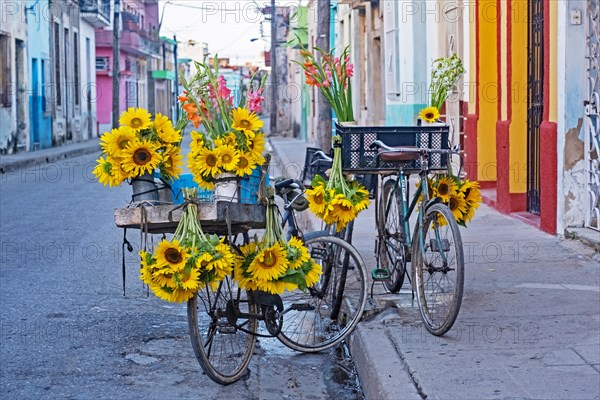 Three bicycles