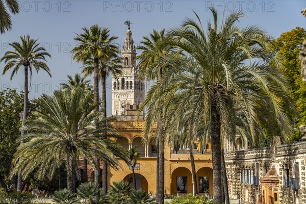 The Gardens of the Royal Palace Alcazar