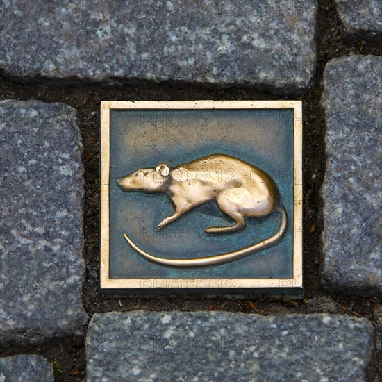 Rat Stone
