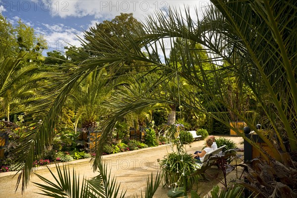 Palm Garden