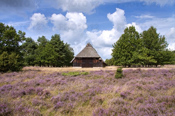 Sheepfold