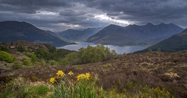 View over Loch Duich and the mountain summits of the Five Sisters of Kintail from Bealach Ratagain