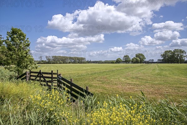 Wooden gate in freshly mowed grassland