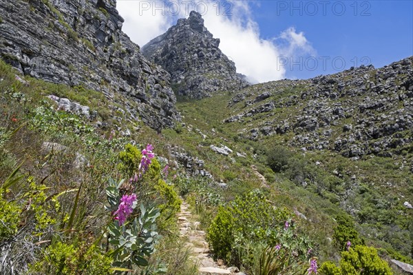 Hiking trail