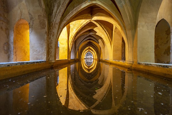 Baths Banos Dona Maria de Padilla