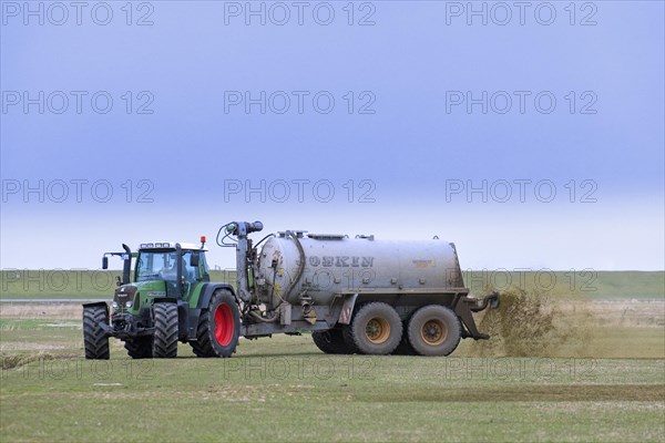 Farmer in Fendt 818 tractor with muck spreader distributing