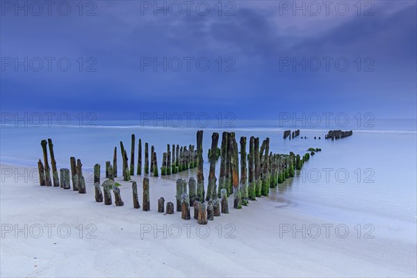 Remnant of old weathered wooden groyne