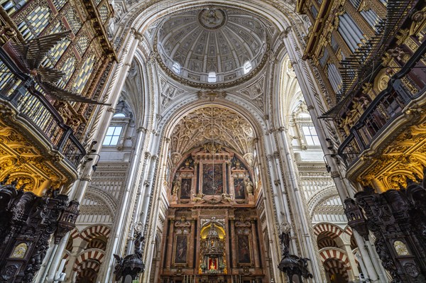 Interior of the Cathedral