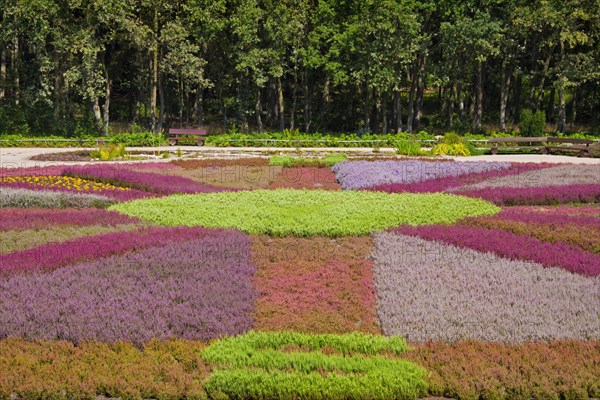 The heath garden