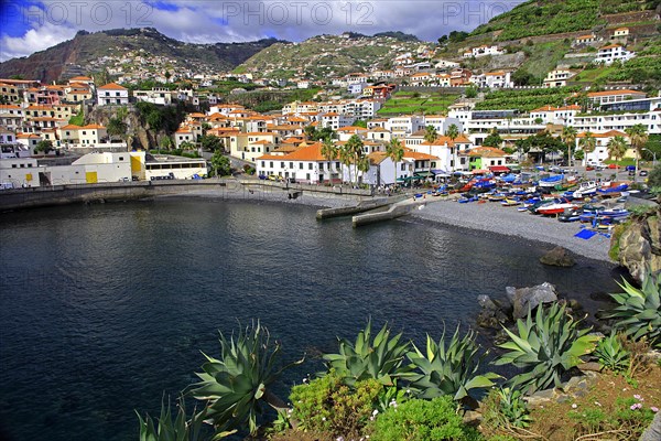 Hafen Camara de Lobos