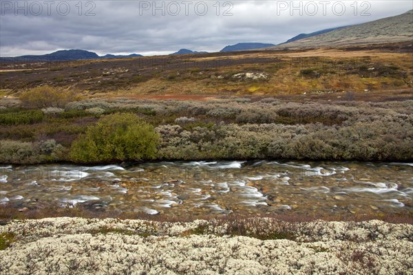 Store Ula River in the Rondane National Park