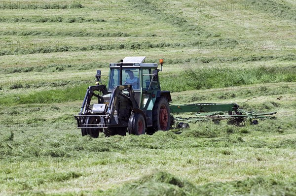 Tractor with circular rake raking cut grass for hay making on grassland