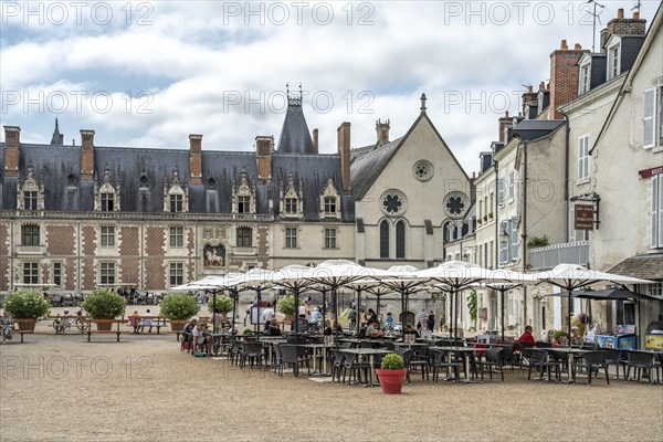 Restaurant on the Place du Chateau and the Blois Castle Chateau Royal de Bloiss