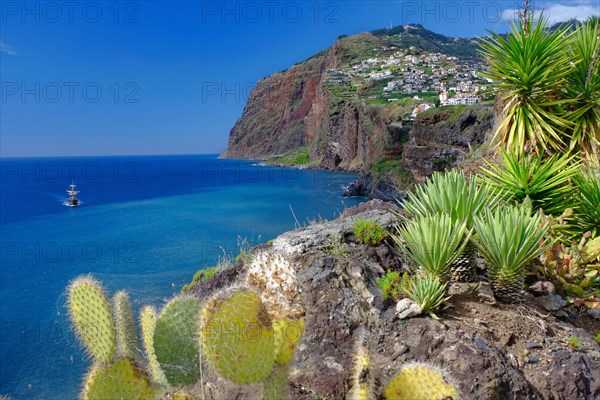 Blick auf Cabo Girao 589 m