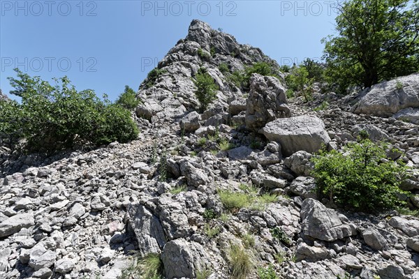 Steep rocks and boulders in the Velebit limestone mountains in Paklenica National Park in northern Dalmatia. Paklenica Starigrad