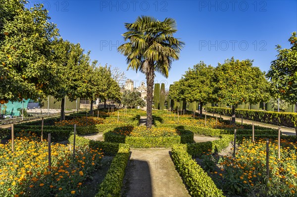 Gardens of the Palace