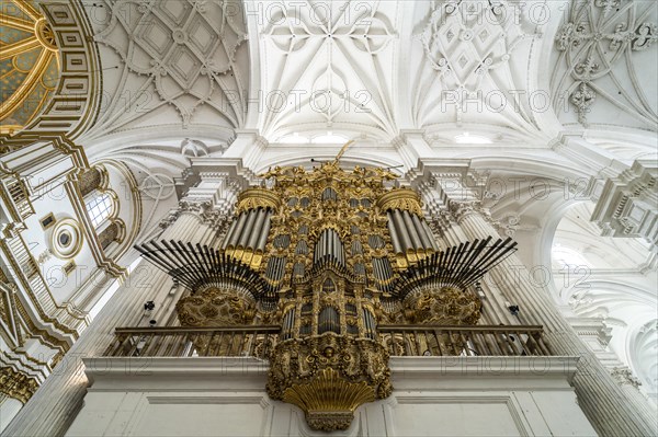 Organ in the interior of the Cathedral of Santa Maria de la Encarnacion in Granada