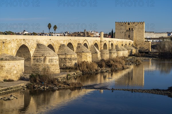 Roman bridge over the river Rio Guadalquivir and the Torre de la Calahorra in Cordoba