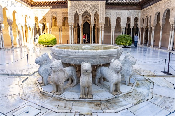 Lion's Court with the Lion Fountain