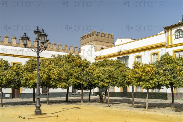 Patio de Banderas Square