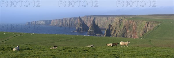 Duncansby Stacks