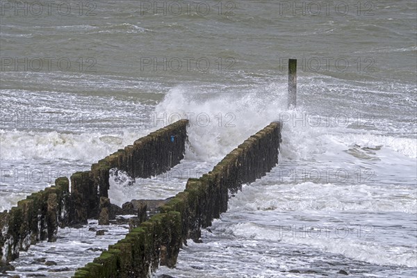 Wave crashing into wooden groyne