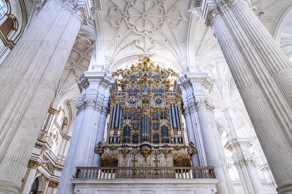 Organ in the interior of the Cathedral of Santa Maria de la Encarnacion in Granada