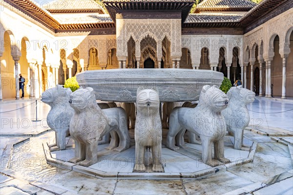 Lion's Court with the Lion Fountain