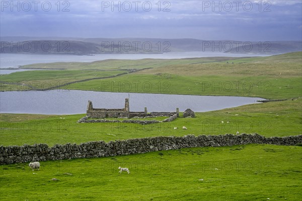 Remains of croft