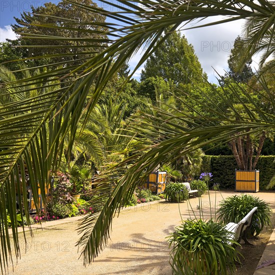 Palm Garden