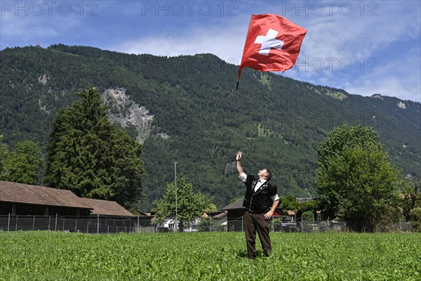 Flag wavers