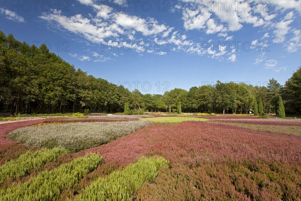 The heath garden