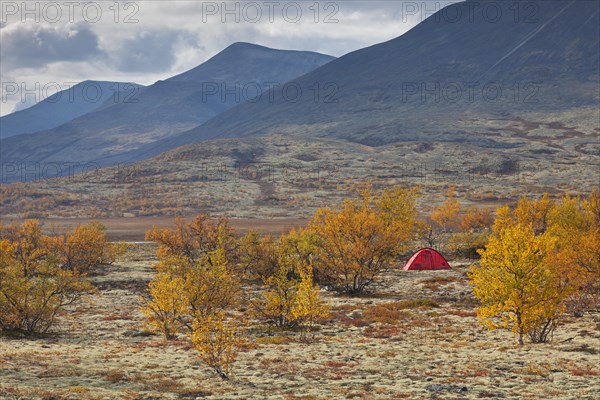 Red dome tent in the valley Doraldalen