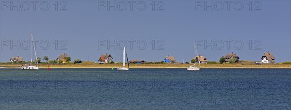 Sailing boats and beach houses along the Baltic Sea on the peninsula Graswarder