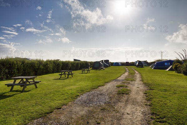 Campervan and tents on a campsite