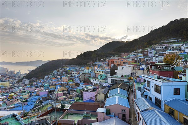 Colourful houses and bay