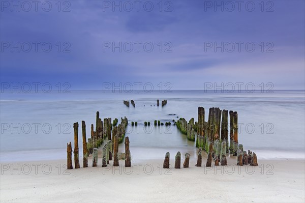 Remnant of old weathered wooden groyne