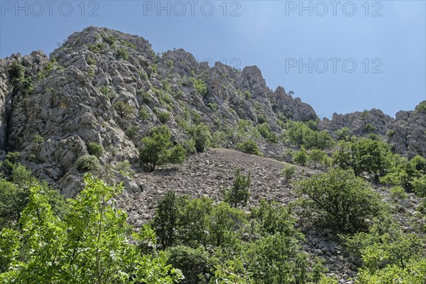 Rock chain in the Paklenica National Park in the Velebit limestone mountains in northern Dalmatia. Paklenica Starigrad