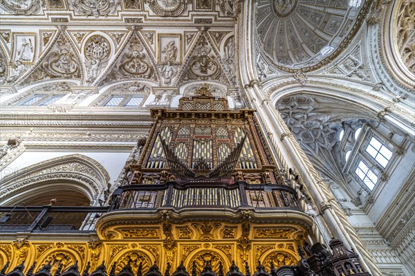 Organ and dome in the interior of the Cathedral