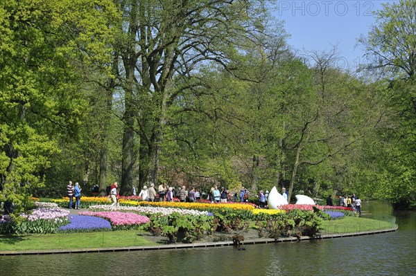 Tourists walking among colourful tulips
