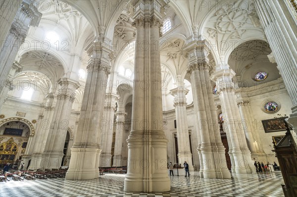 Corinthian columns in the interior of the Cathedral of Santa Maria de la Encarnacion in Granada