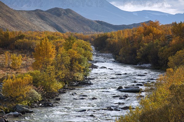 River Atna at Doralseter