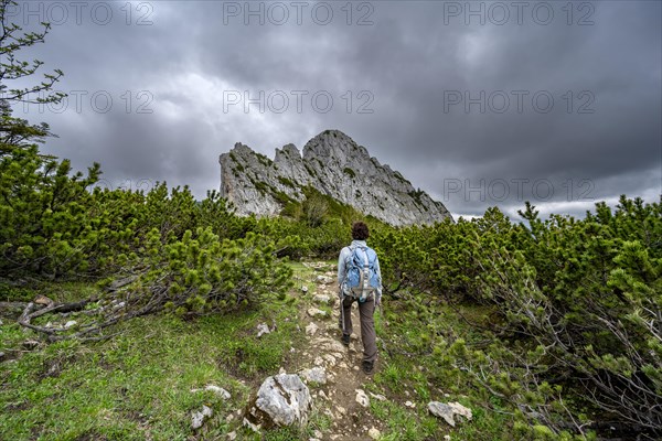 Mountaineer on a hiking trail in the Rotwand area