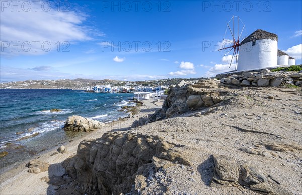 Windmills on the coast