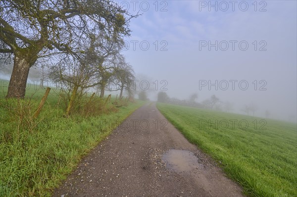 Field path