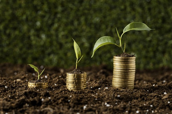 Coins stacked dirt with plants