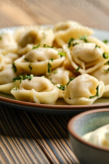 Closeup view of meat dumplings on a plate