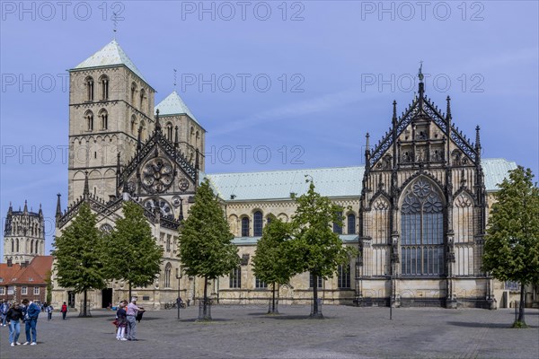 Catholic Cathedral StPaulus-Dom